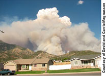 wildfire-community-1