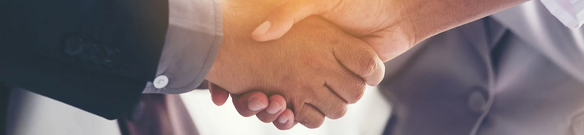 Renew/Reinstate Membership