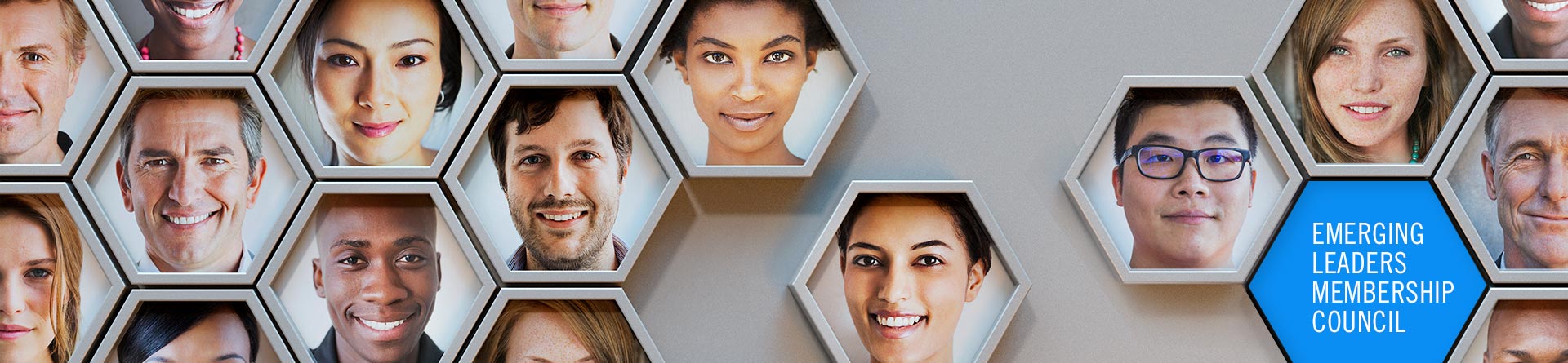 Emerging Leaders Membership Council
