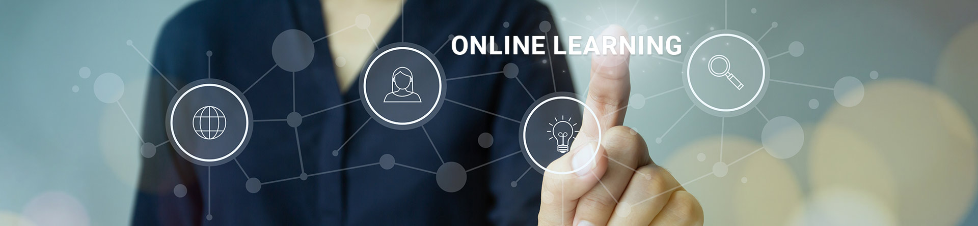 Online Learning Subscription Plan