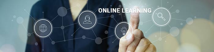Online Learning Subscription Plan