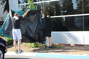 Dominic Sims (left) and Mark Johnson recycle water used in the Ice Bucket Challenge on landscaping at the ICC Western Regional Office.
