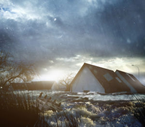Hurricane damage