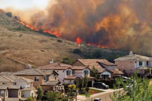 Wildland-Urban
