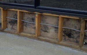 Moisture in building