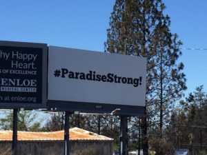 #ParadiseStrong!