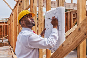 Construction professional