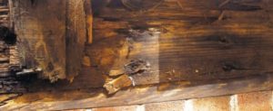Photo 4. Inadequate flashing contributed to the decay of this band joist where a deck ledger was connected. No quantity of fasteners will secure a deck to this band joist.