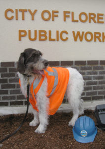 Building Safety Month goes to the dogs