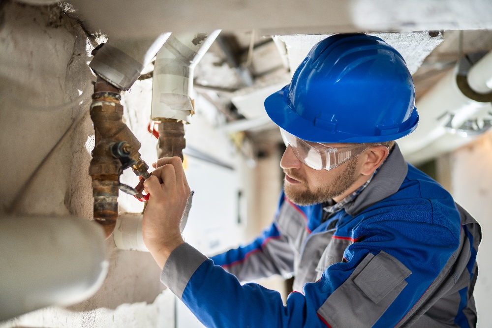 World Plumbing Day