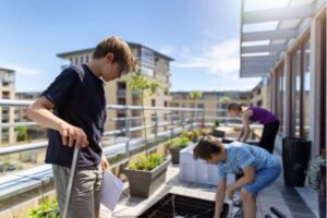 Sustainability of building practices