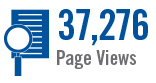 Page Views