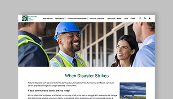 When Disaster Strikes web page