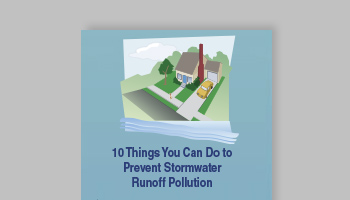 Prevent Stormwater Runoff Pollution