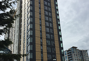 Mass Timber